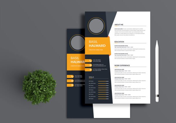 Professional Resume & CV Writing